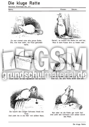 Die-kluge-Ratte.pdf